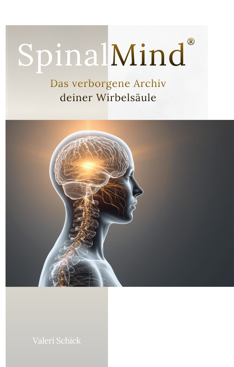 SpinalMind® - Das Buch